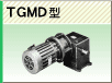 TGMD型
